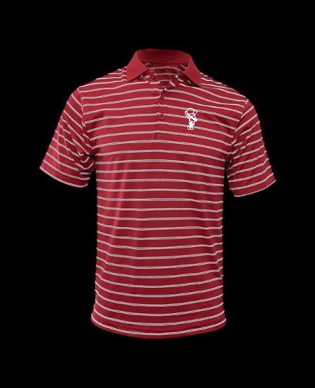 Golfer Bro Striped Polyester & Spandex Polo